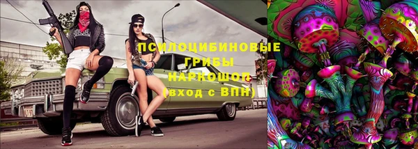 2c-b Медвежьегорск